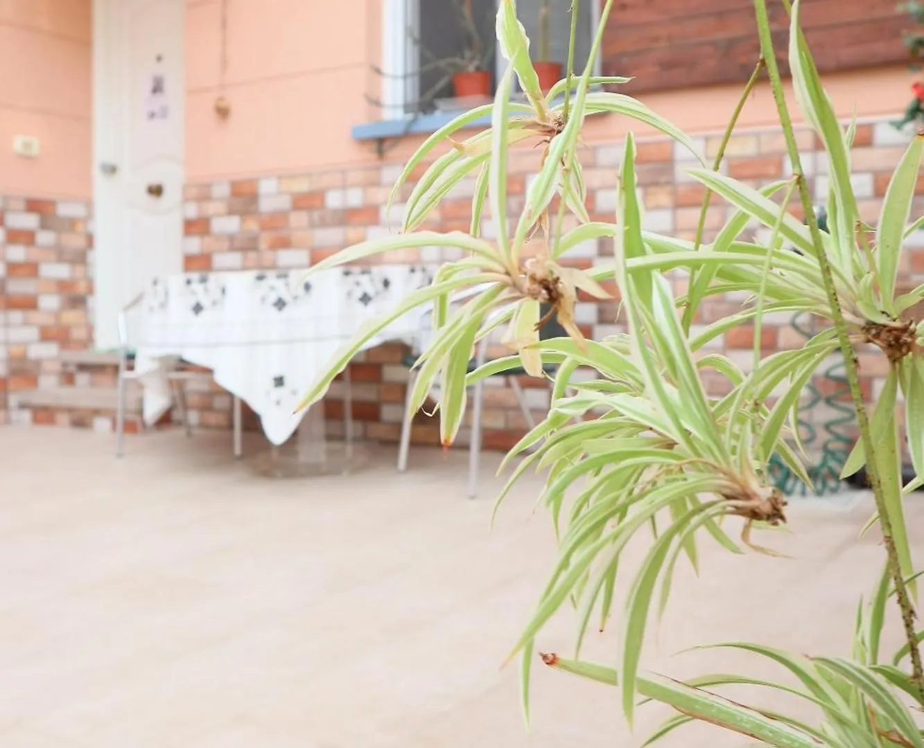 Guest house Happy Room Granadilla De Abona